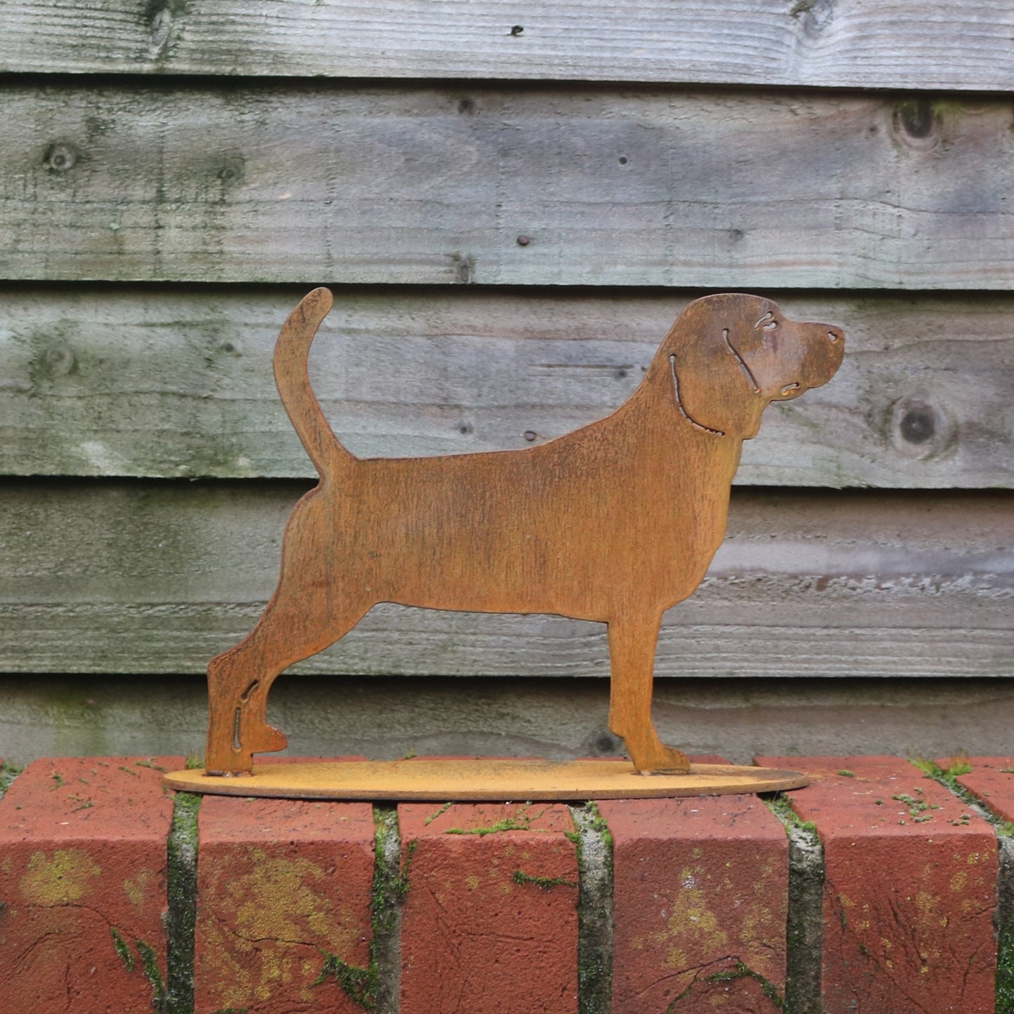 Beagle Statue