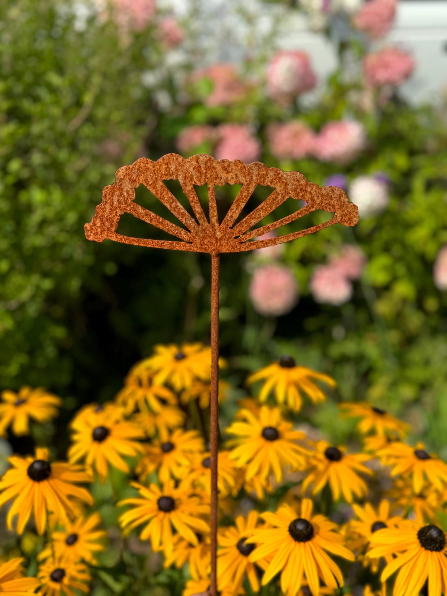 Cow Parsley Flower Spike
