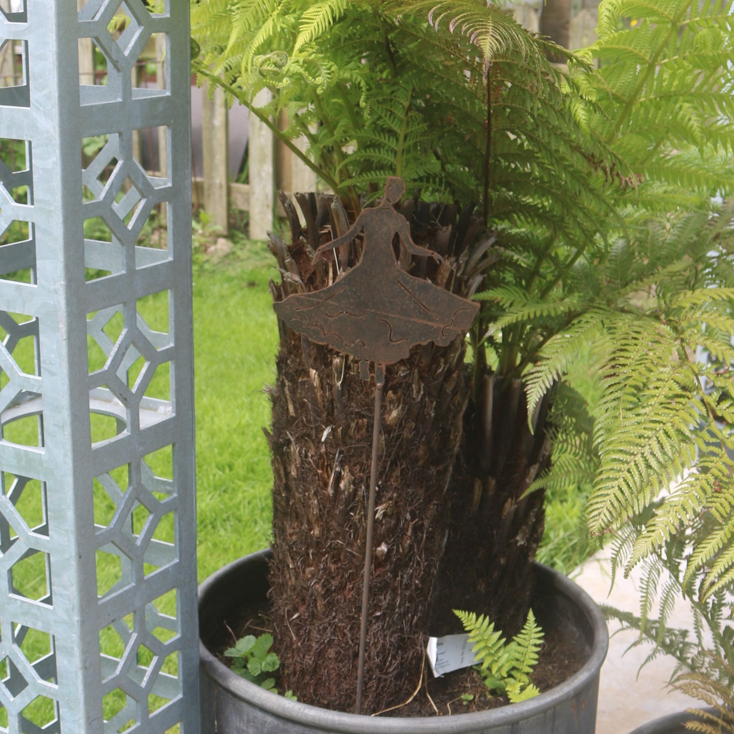 Ballroom Dancer On Spike