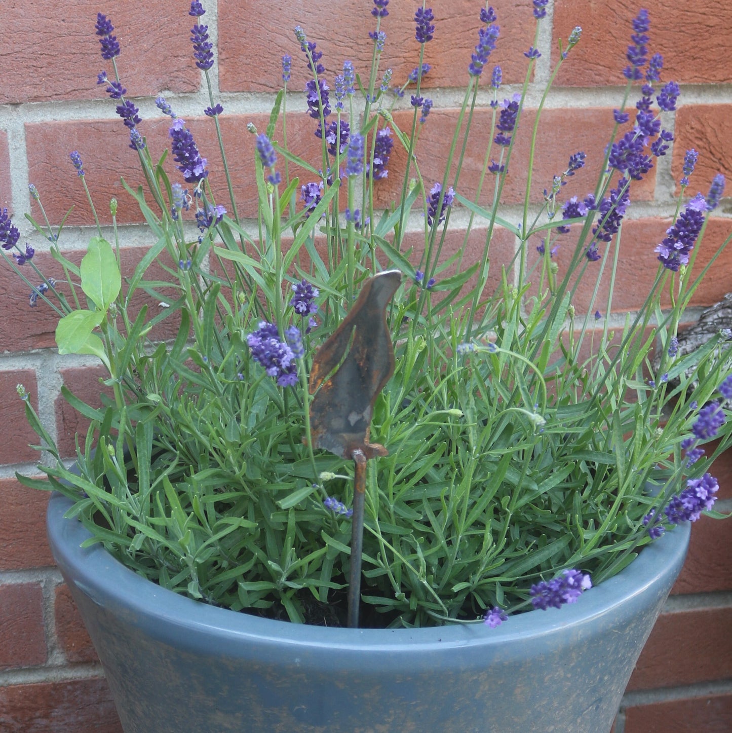 Moongazing Hare Plant Pot Decoration