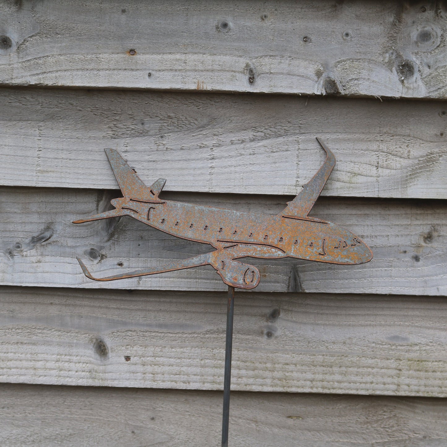 Airbus A320 Aeroplane On Spike