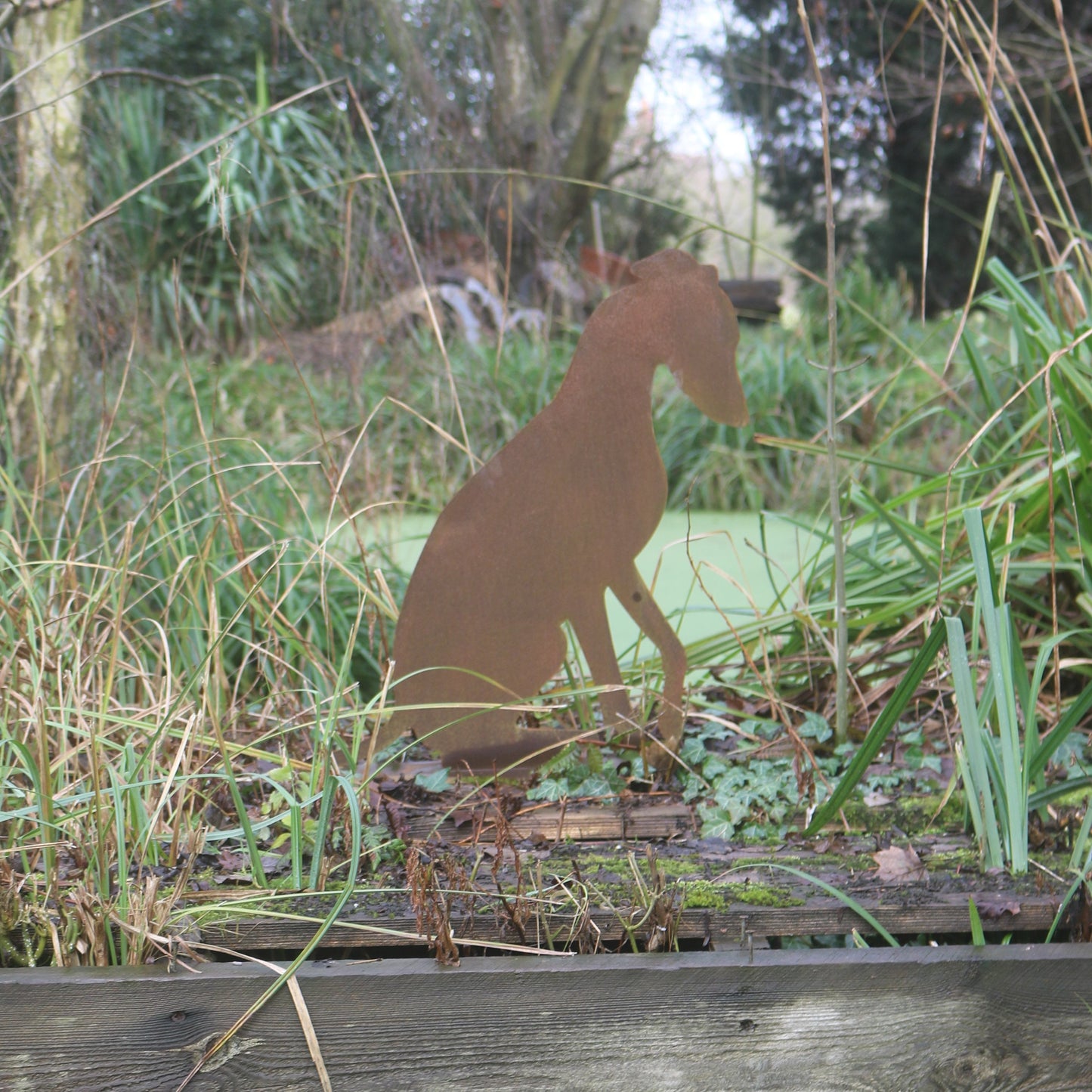 Life Size Greyhound, Whippet, Lurcher Statue