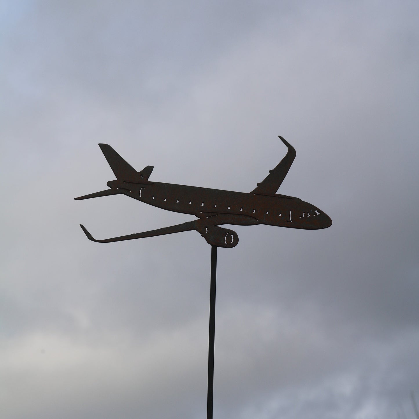 Airbus A320 Aeroplane On Spike