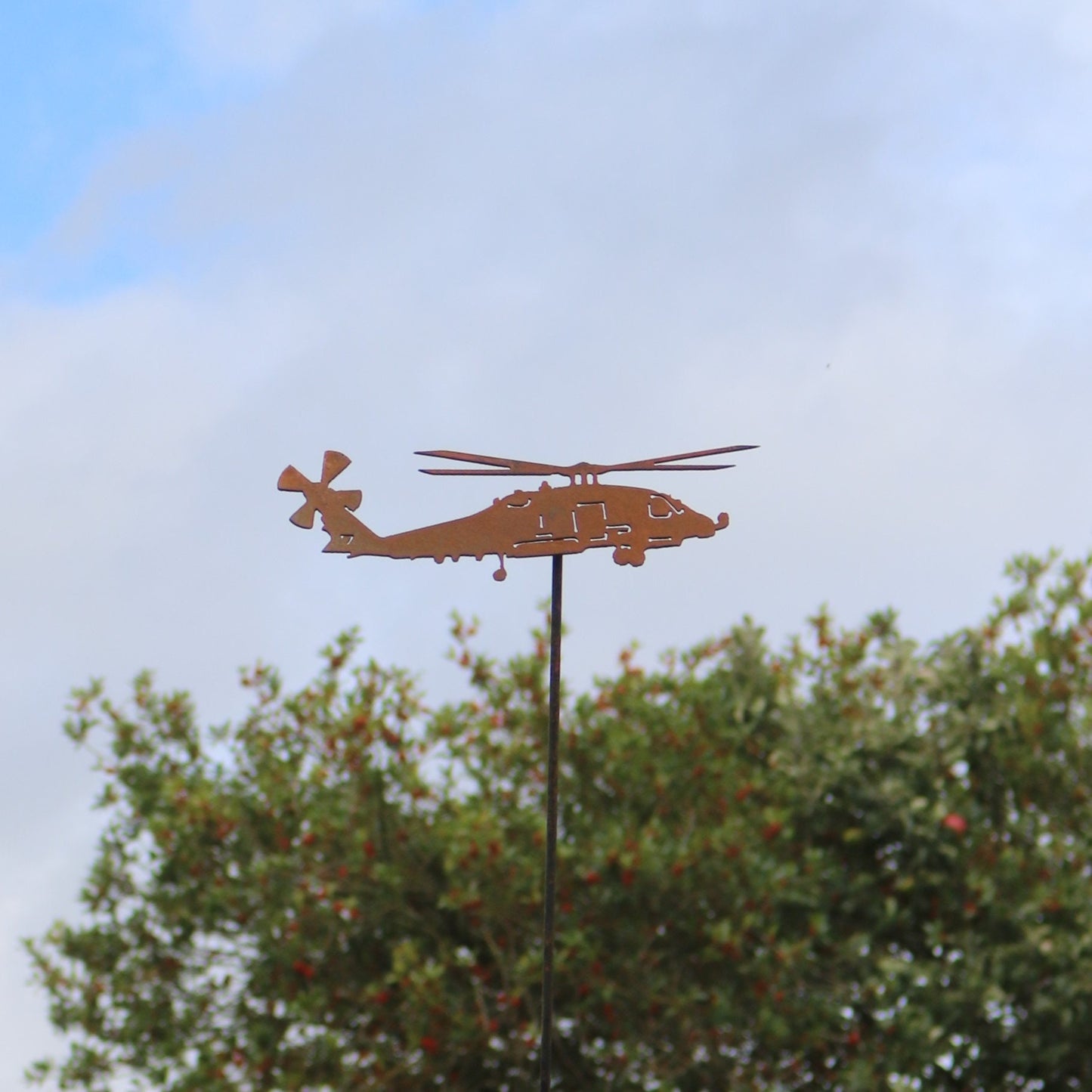 Sea Hawk Helicopter On Spike