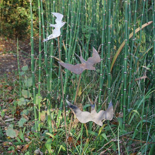 Swallows Bird On Spike