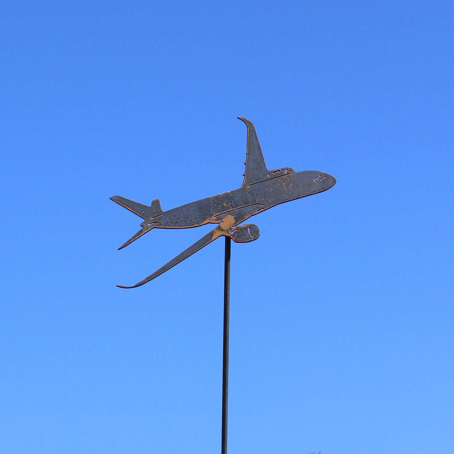 Airbus A350 Aeroplane