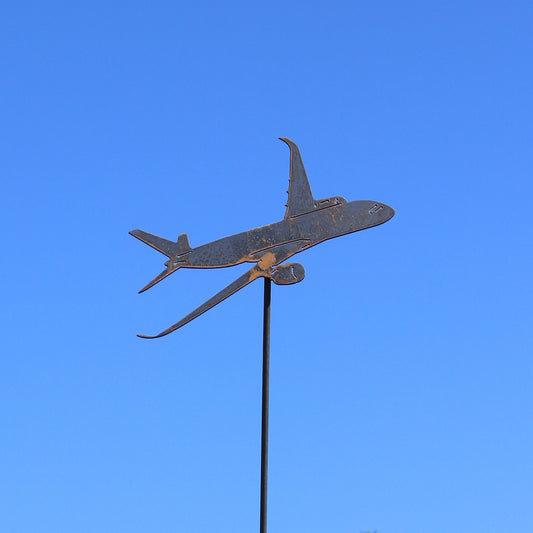 Airbus A350 Aeroplane