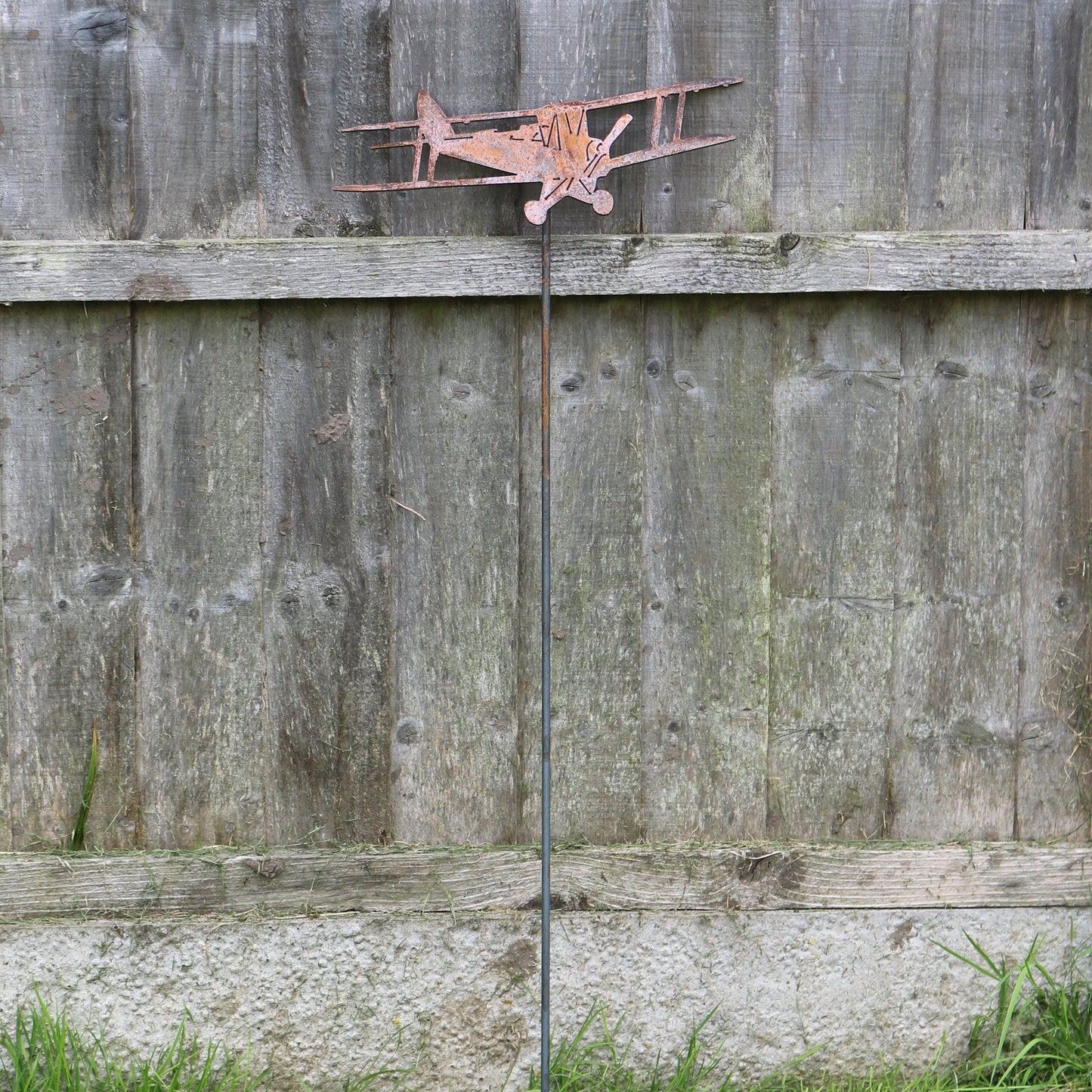 Tiger Moth Aeroplane On Spike