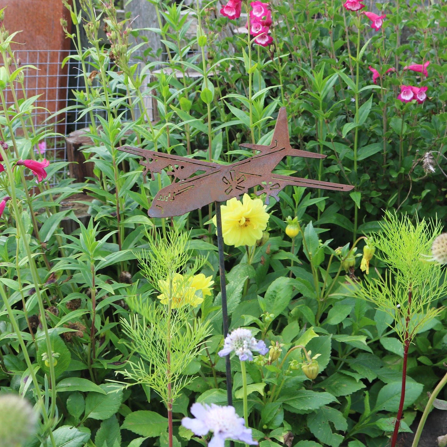 Lockheed C-130 Hercules Aeroplane On Spike