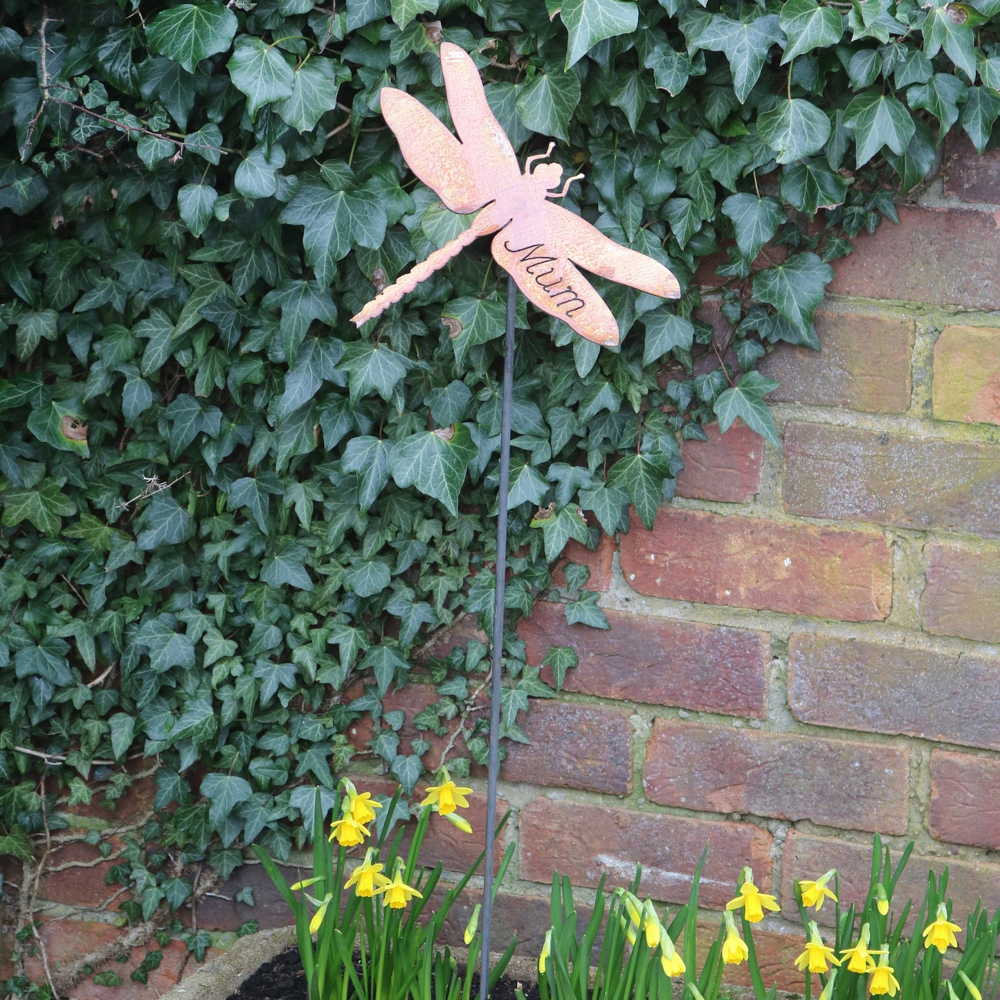 Mum Dragonfly On Spike