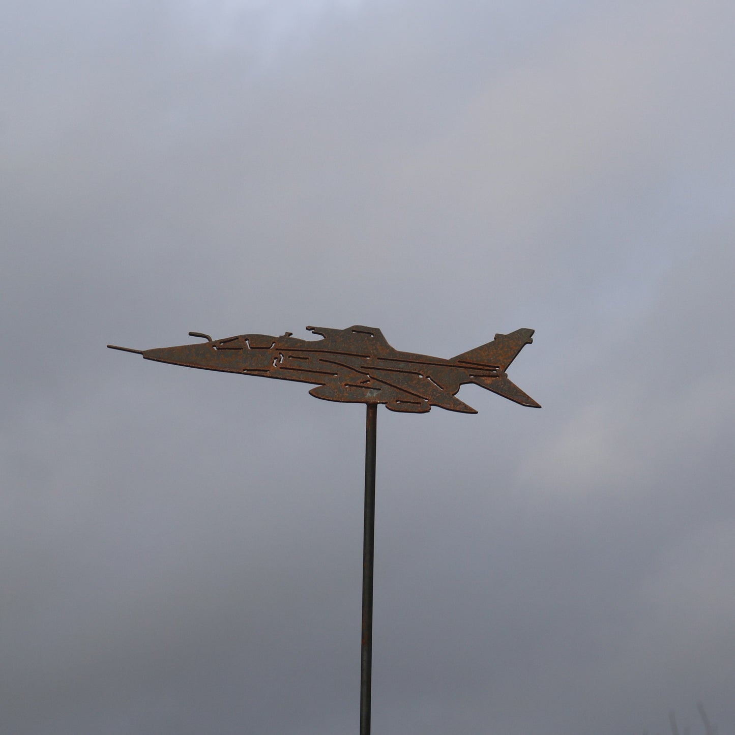 Jaguar Aeroplane On spike