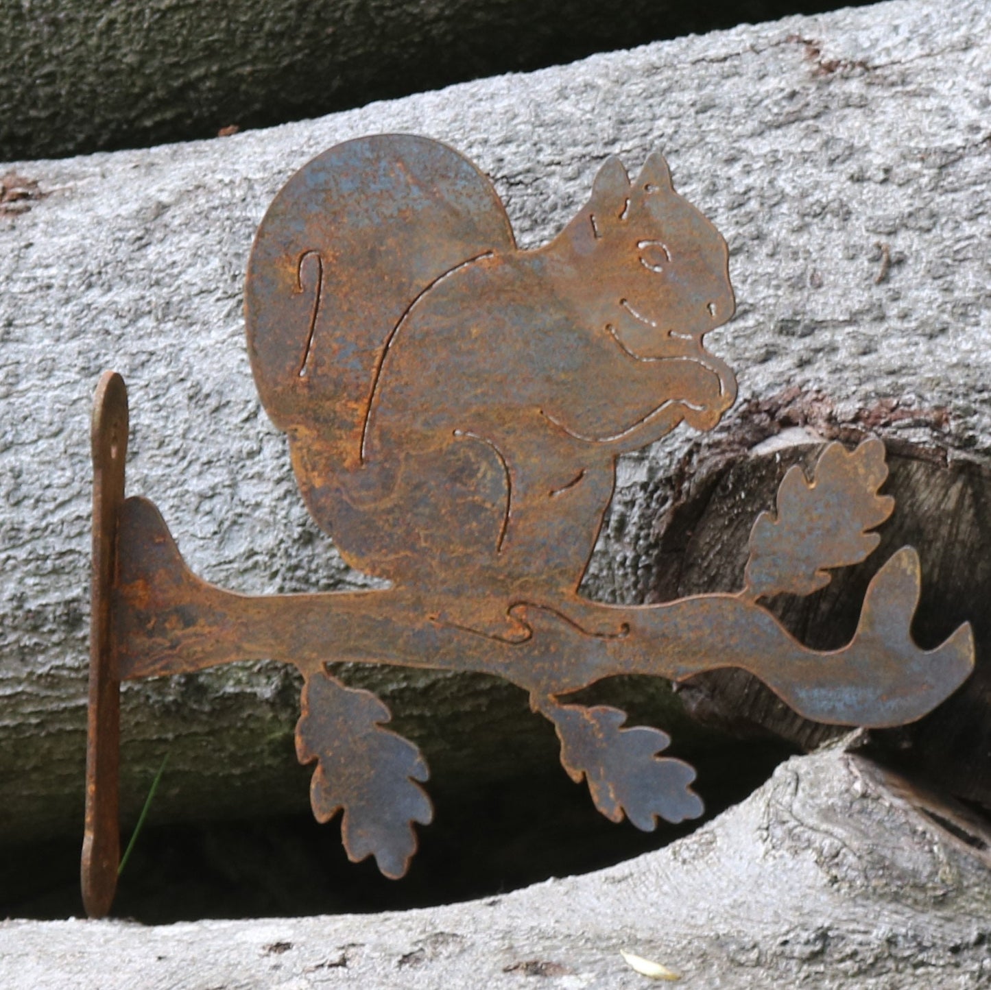 Squirrel Wall Bracket