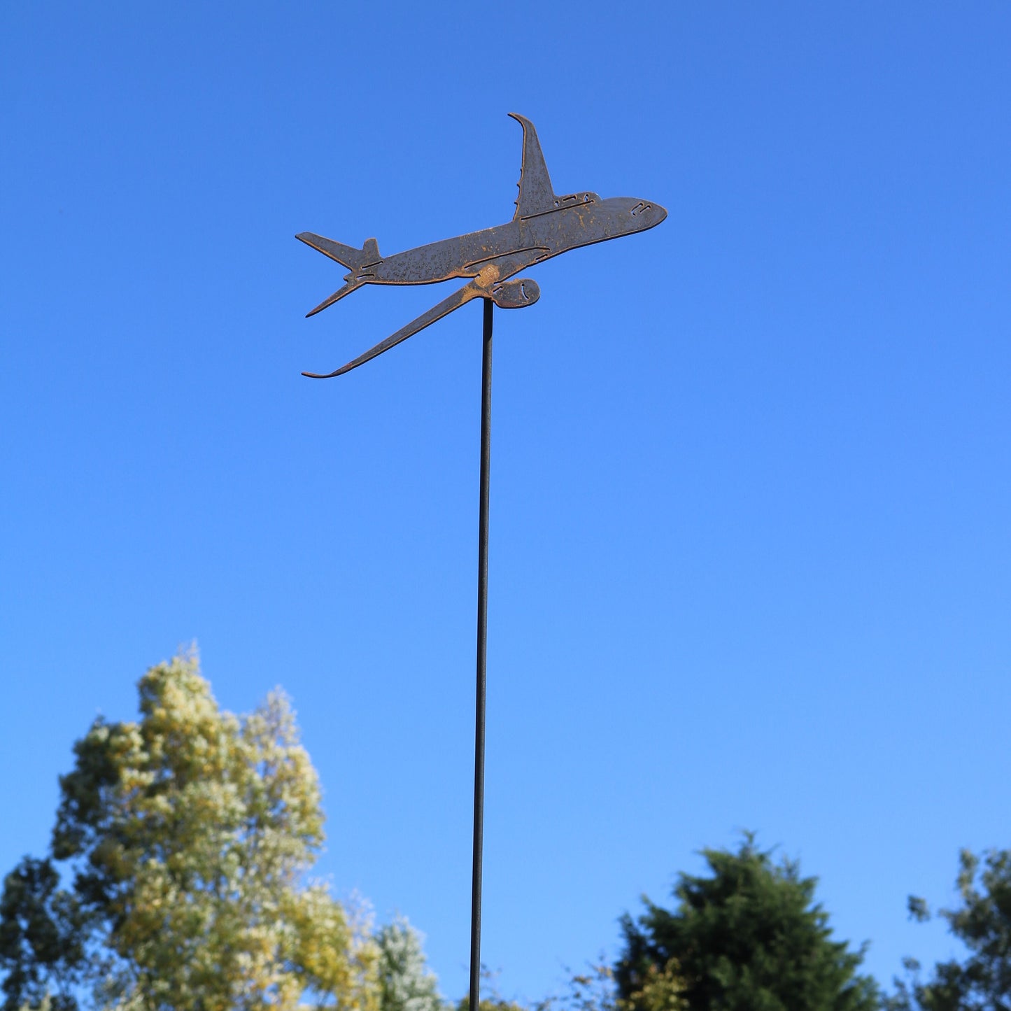 Airbus A350 Aeroplane