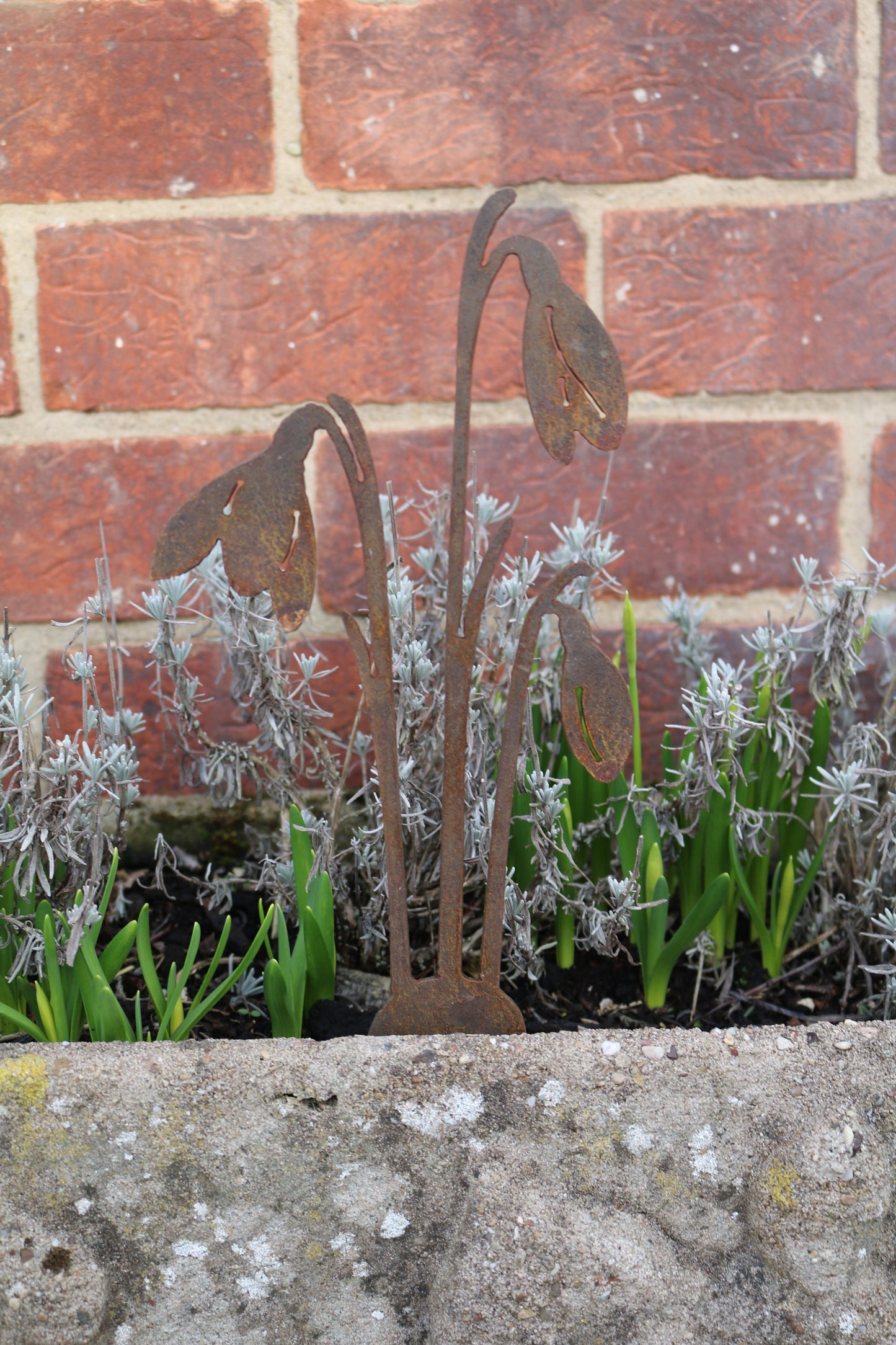 Snowdrops Plant Pot Decoration