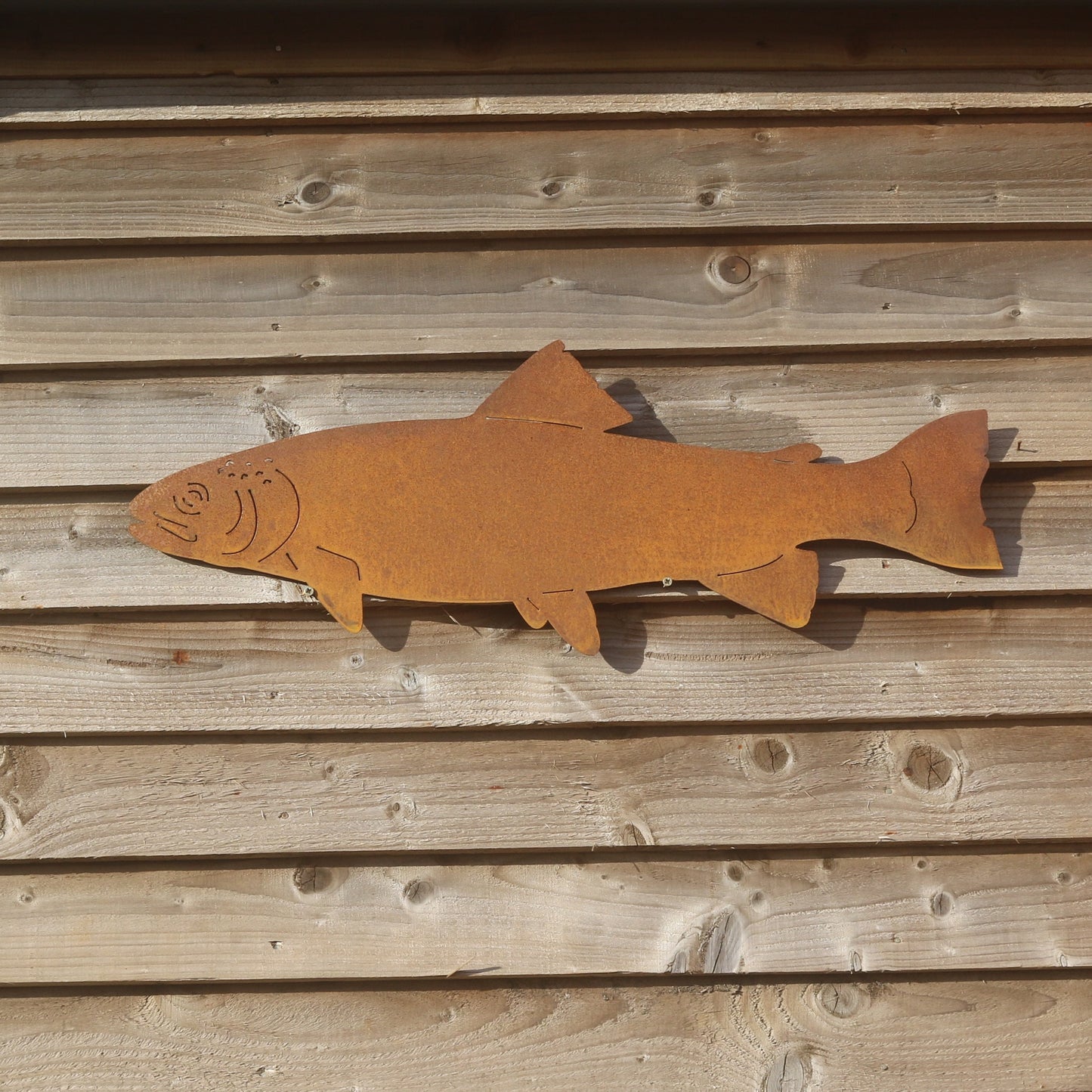 Trout Wall Art