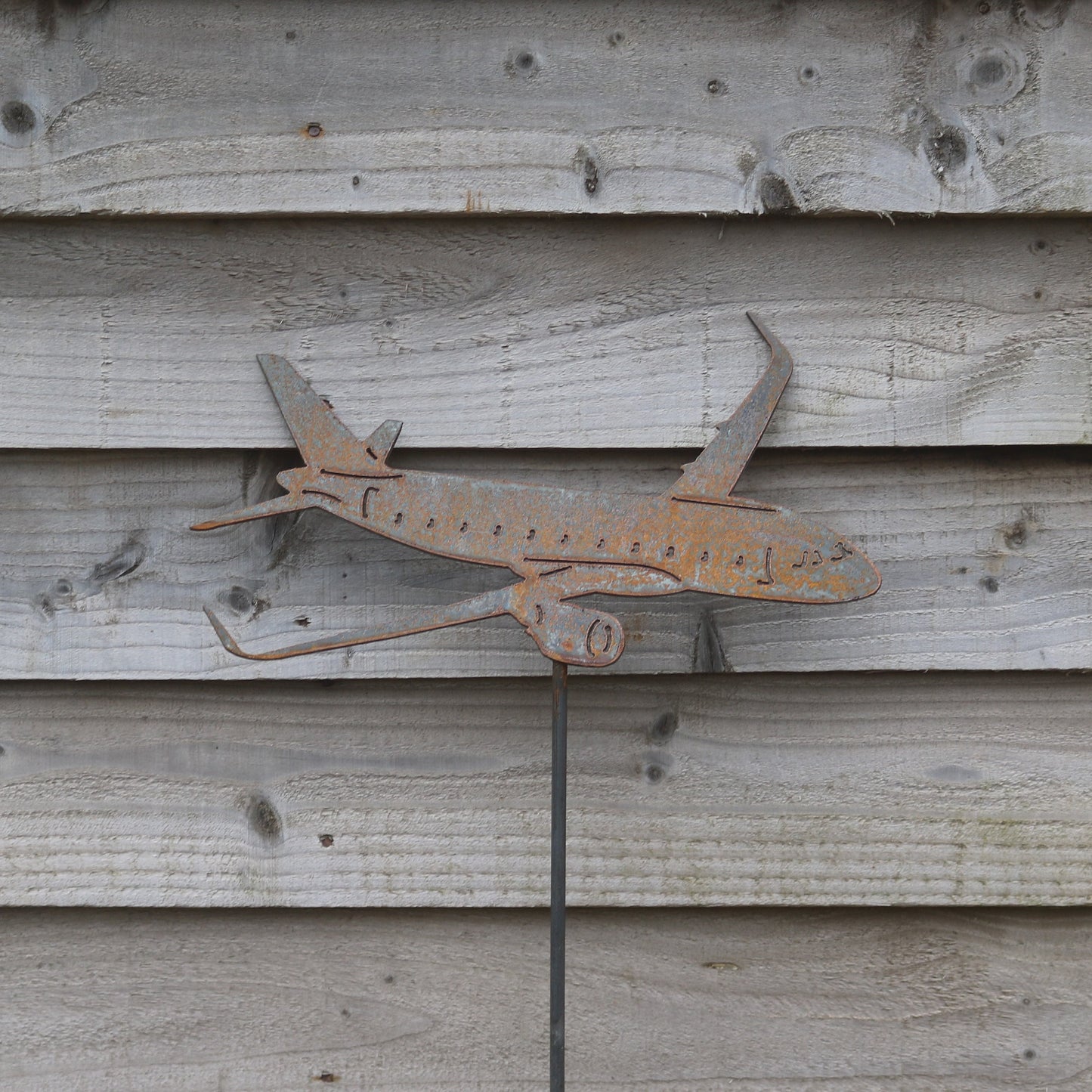 Airbus A320 Aeroplane On Spike