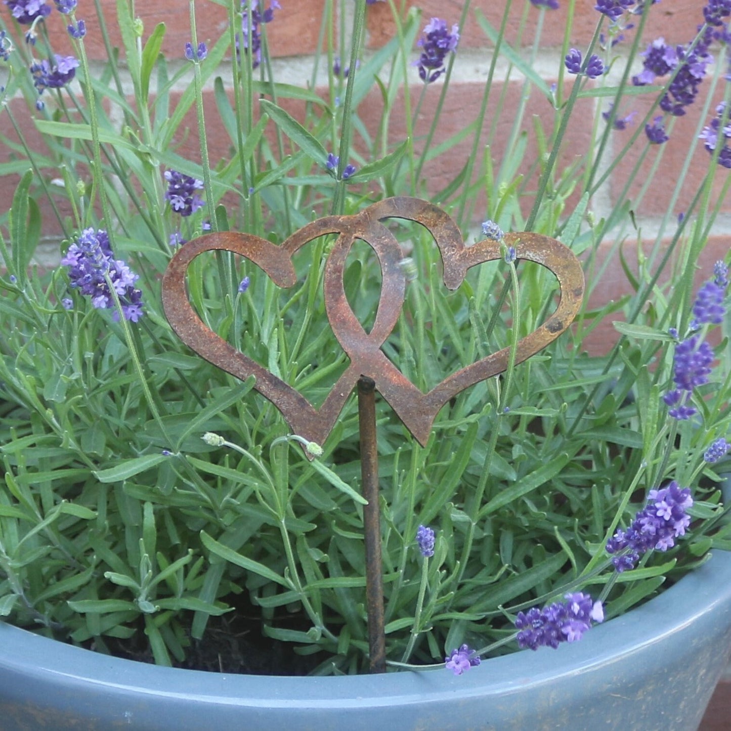 Entwined Hearts Plant Pot Decoration