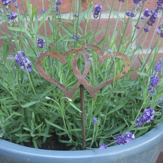 Entwined Hearts Plant Pot Decoration