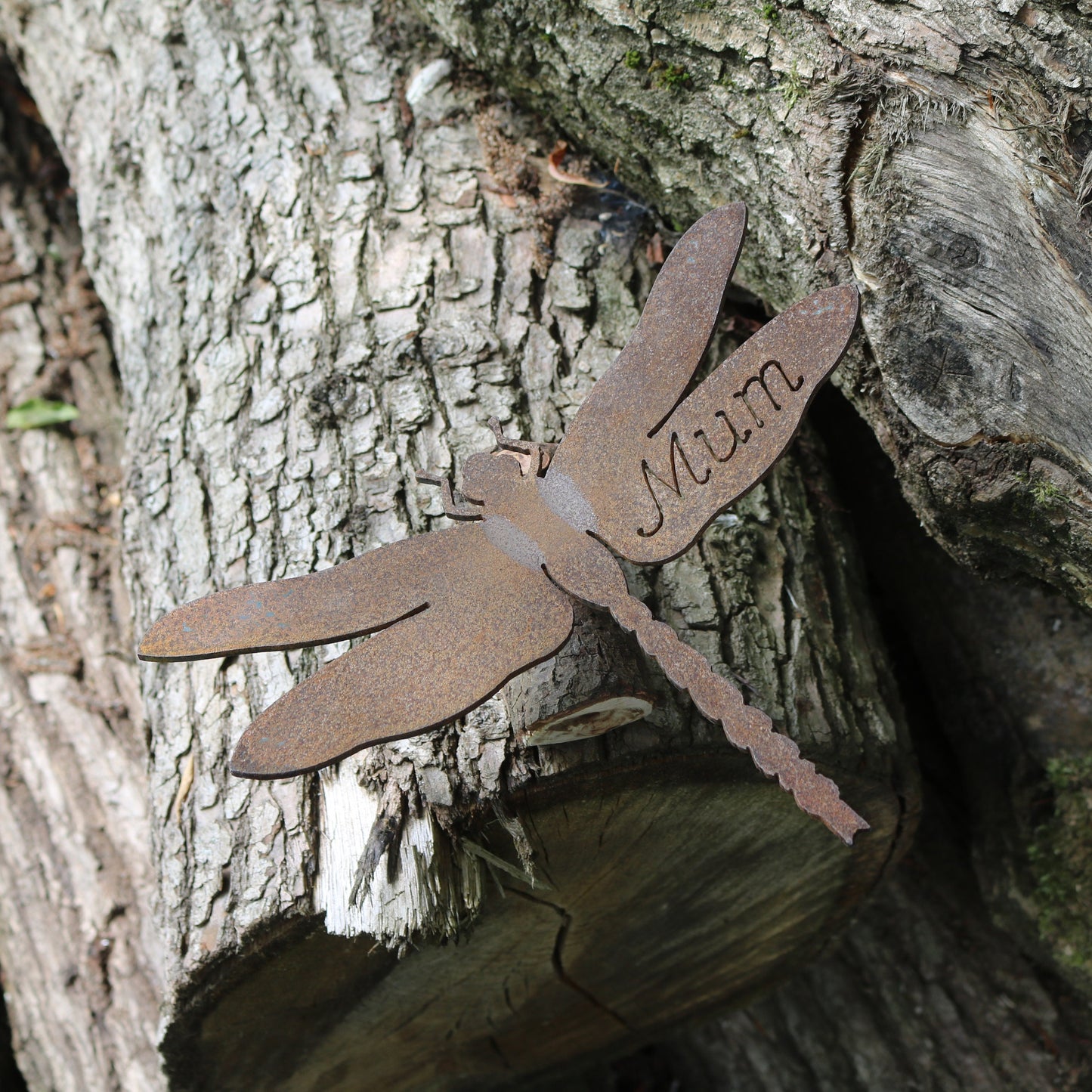 Personalised Dragonfly Post Topper