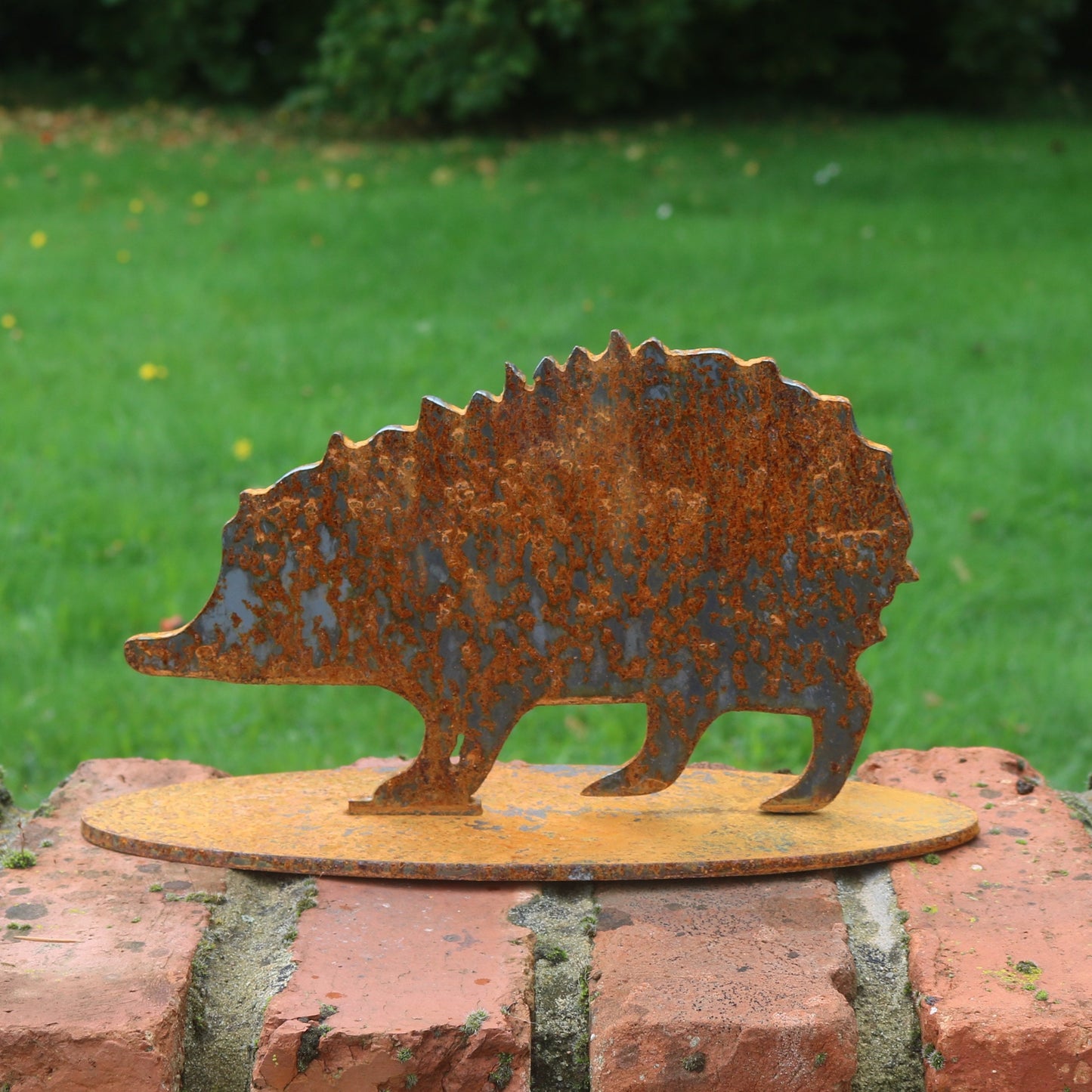 Hedgehog Statue