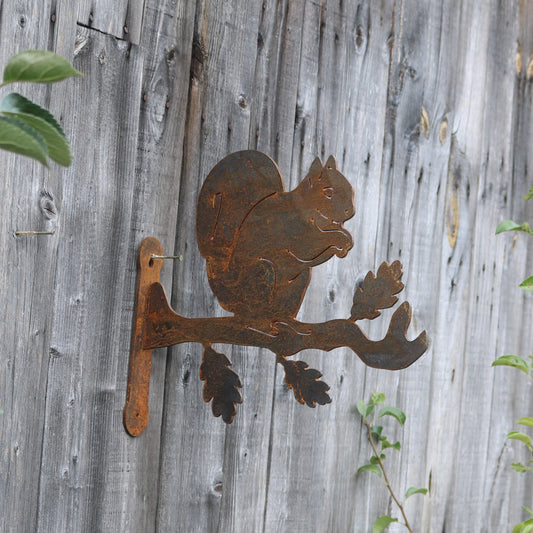 Squirrel Wall Bracket