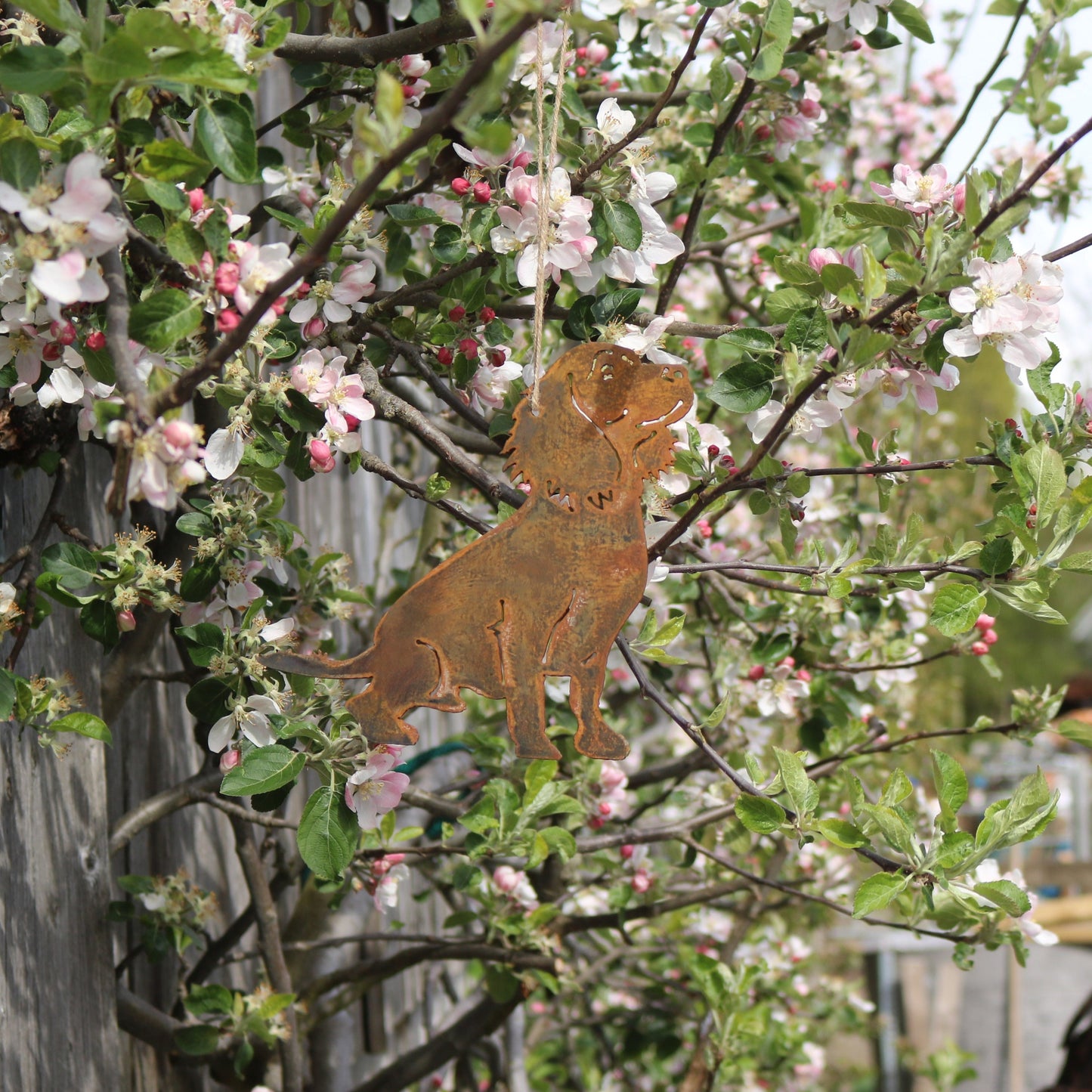 Hanging Working Cocker Spaniel