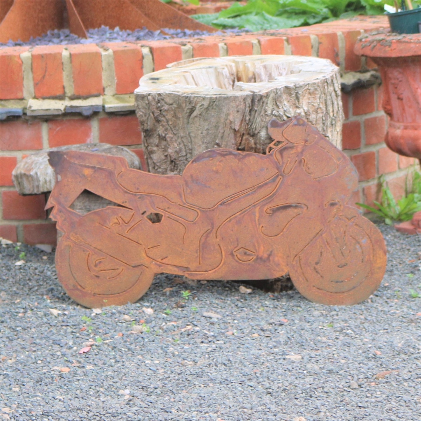 Kawasaki Ninja Motorcycle Wall Art