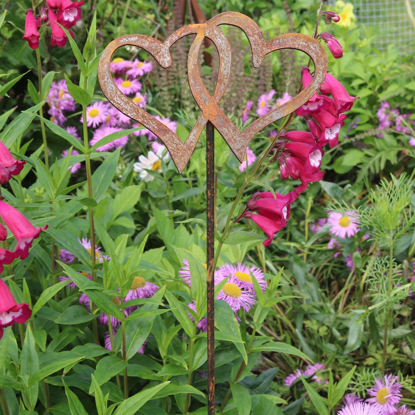 Entwined Hearts On Spike