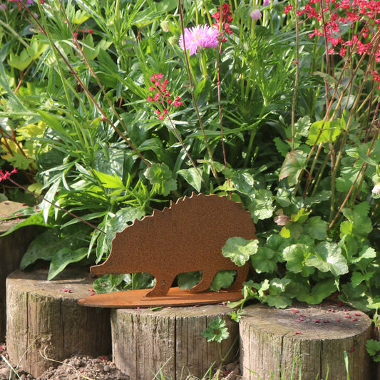 Hedgehog Statue