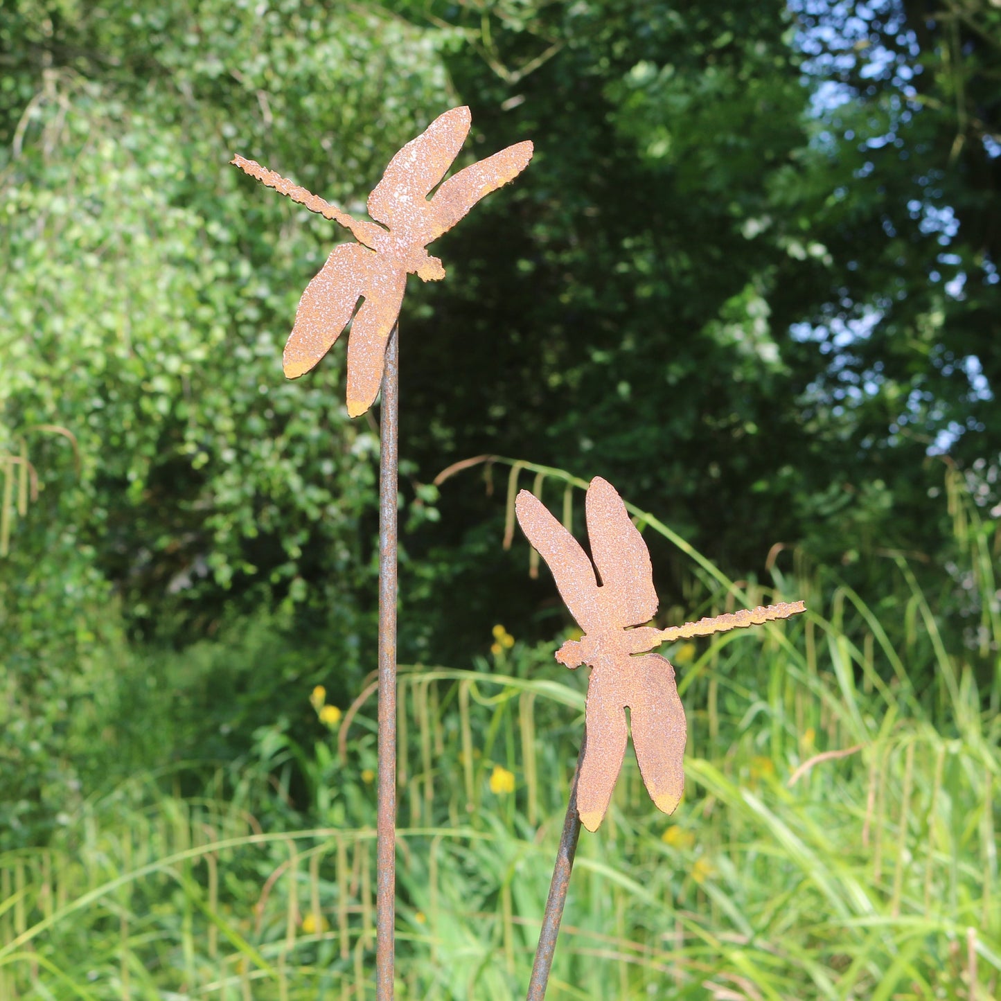 Dragonflies On Spike