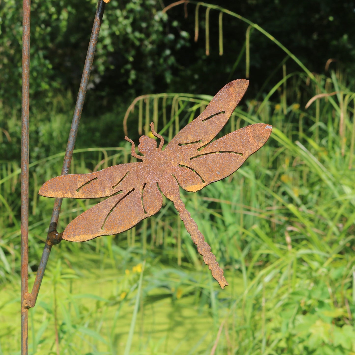 Dragonflies On Spike