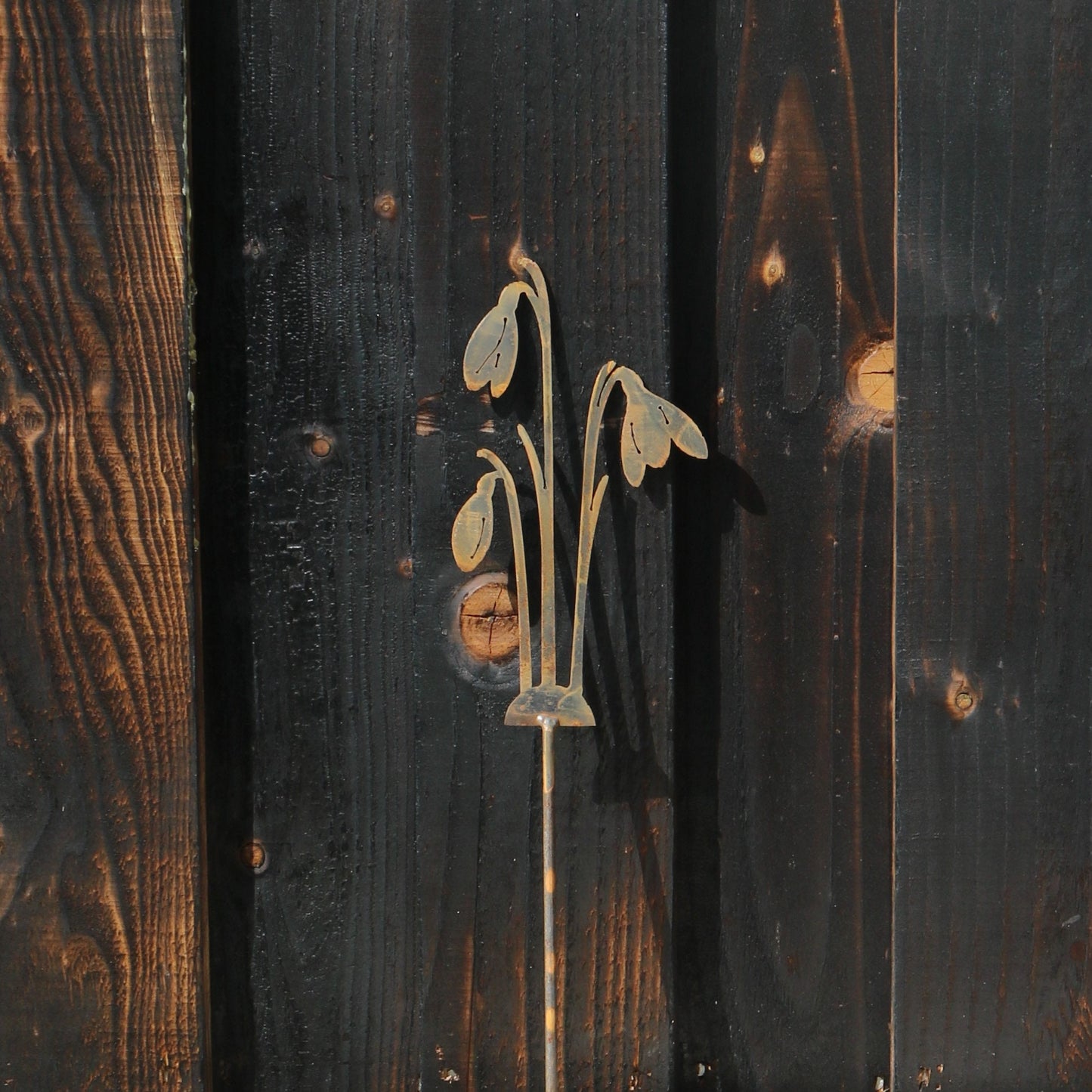 Snowdrops Plant Pot Decoration