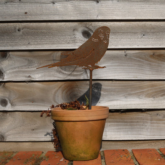 Budgie Plant Pot Decoration