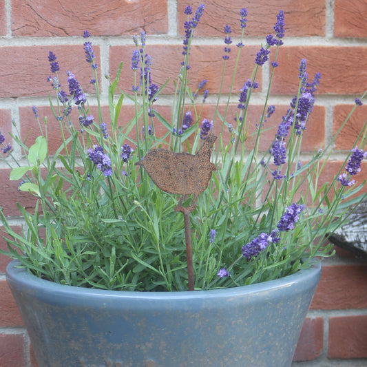 Wren Plant Pot Decoration