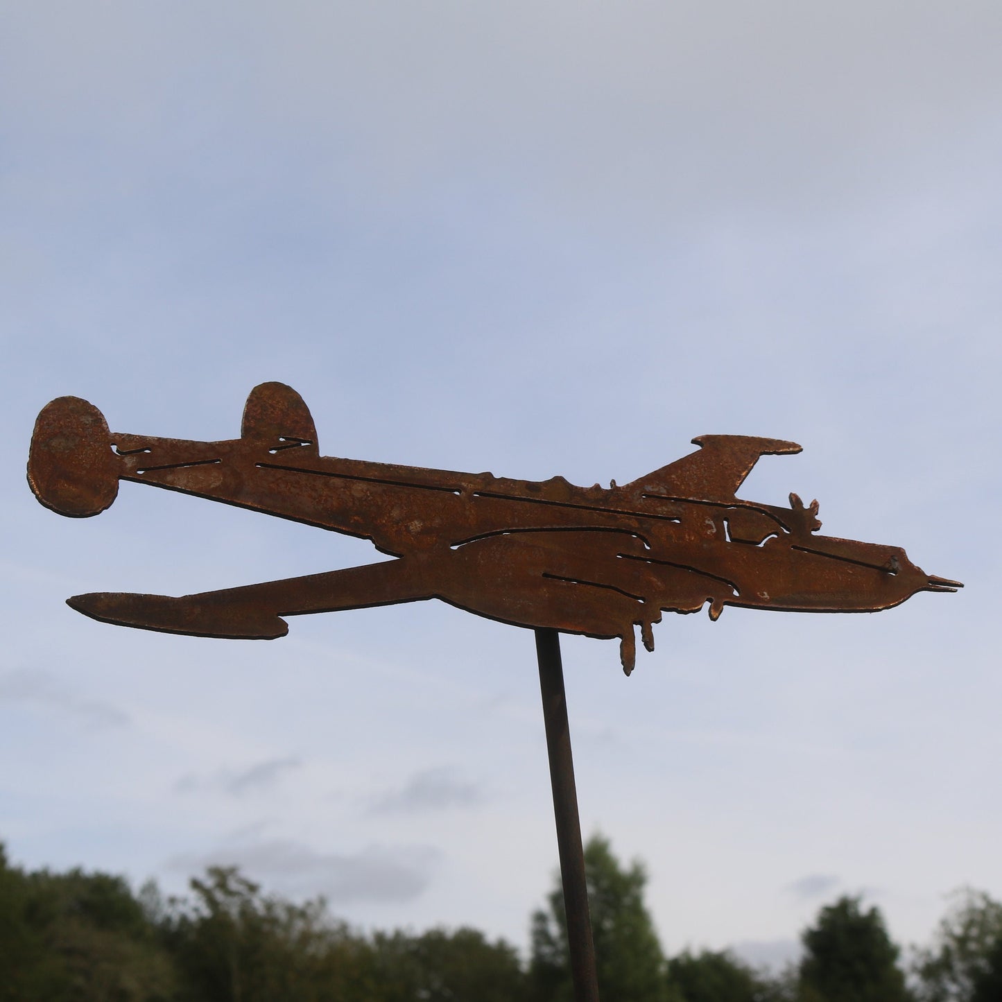 Avro Shackleton Aeroplane On Spike