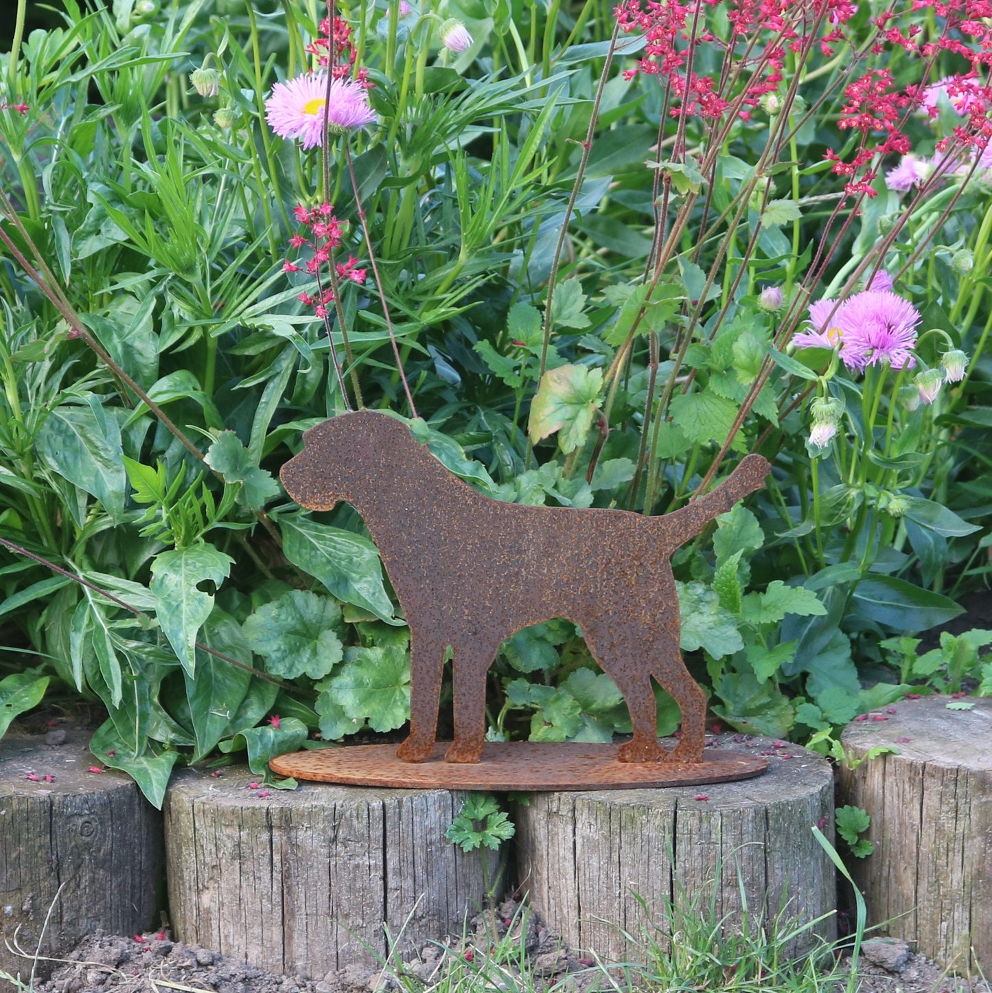 Border Terrier Dog Statue 'Nancy'