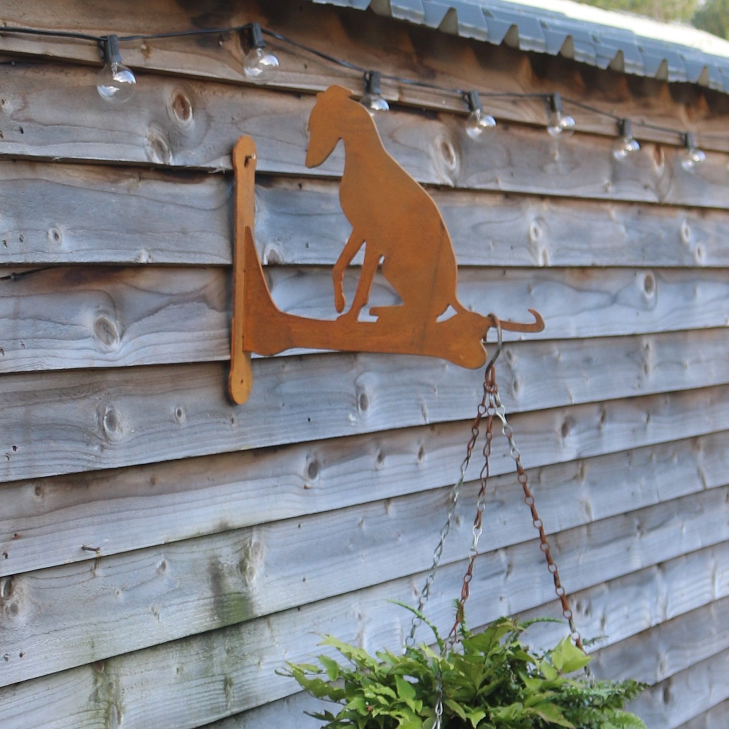 Greyhound, Whippet, Lurcher Wall Bracket