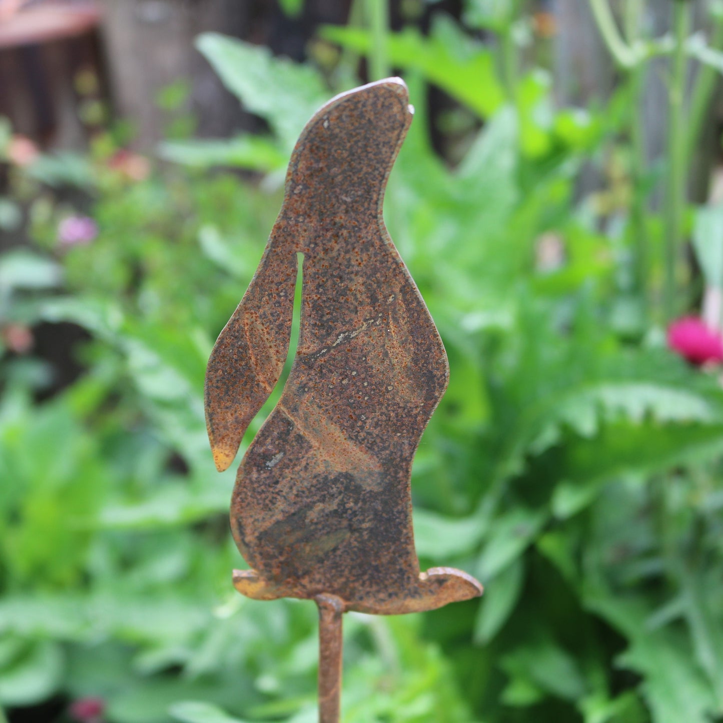 Hare Moongazing On Spike