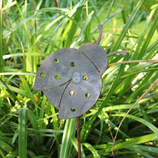 Ladybird On Spike