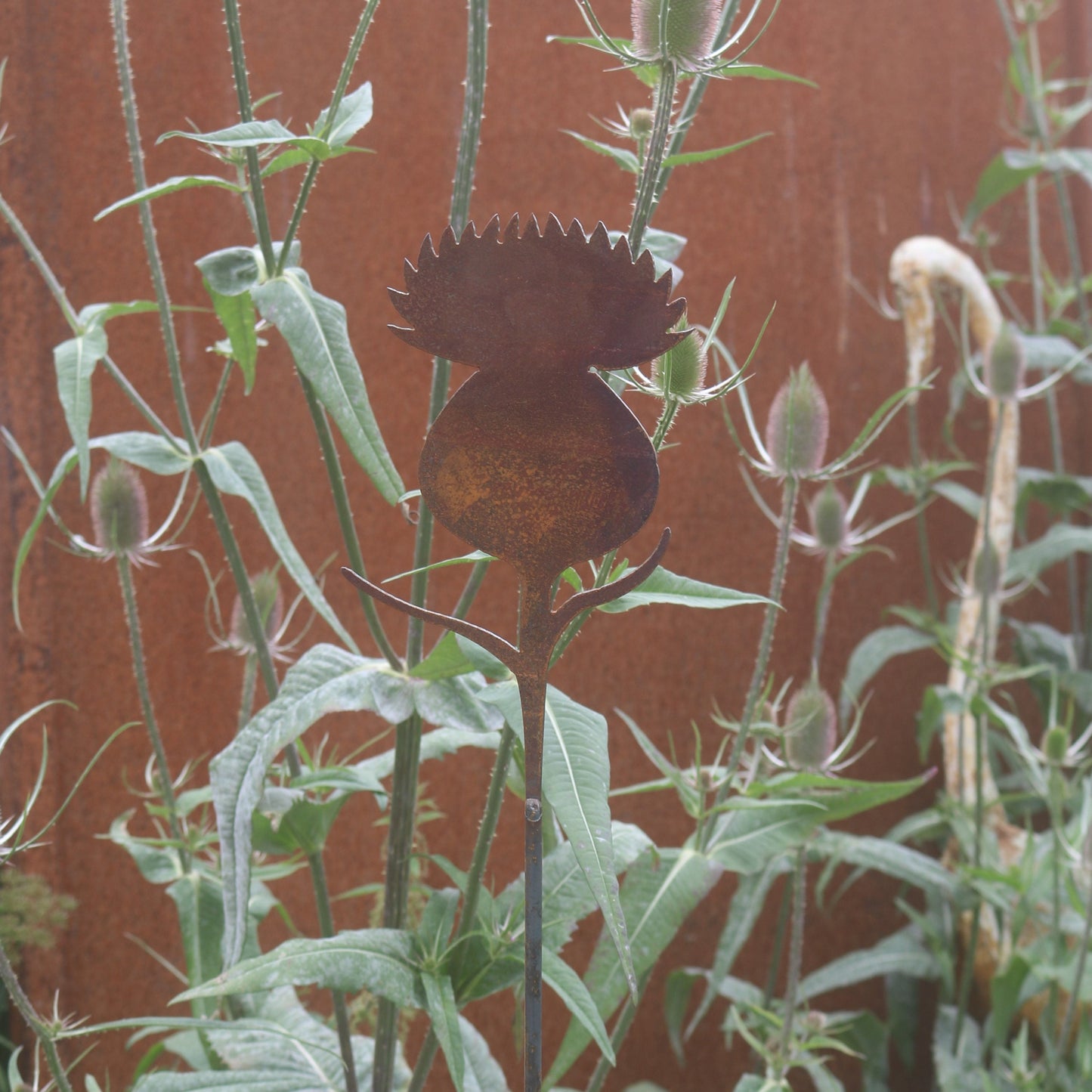 Thistle On Spike