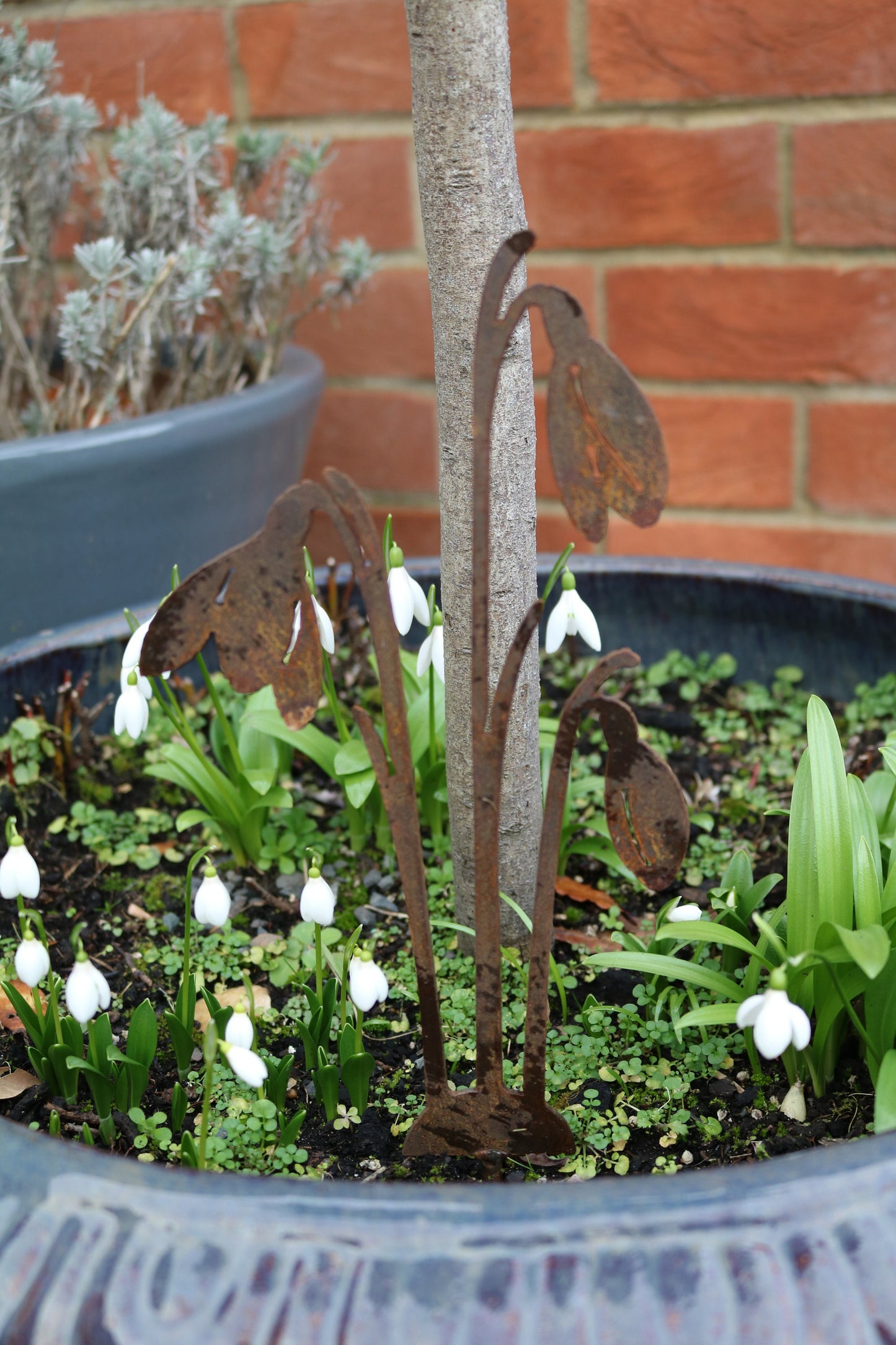 Snowdrops Plant Pot Decoration