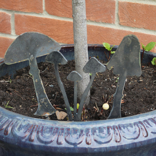 Toadstools Garden & Plant Pot Decoration  - Set 2