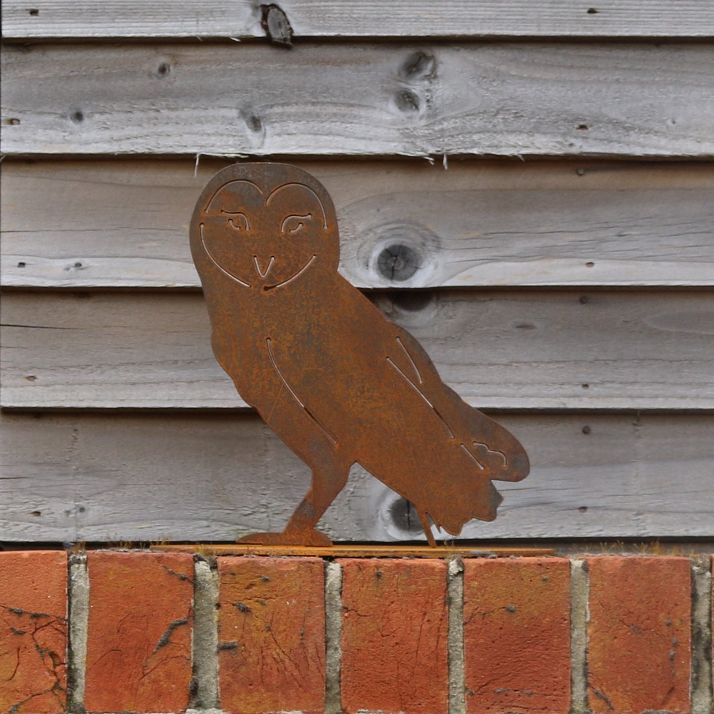 Barn Owl Statue