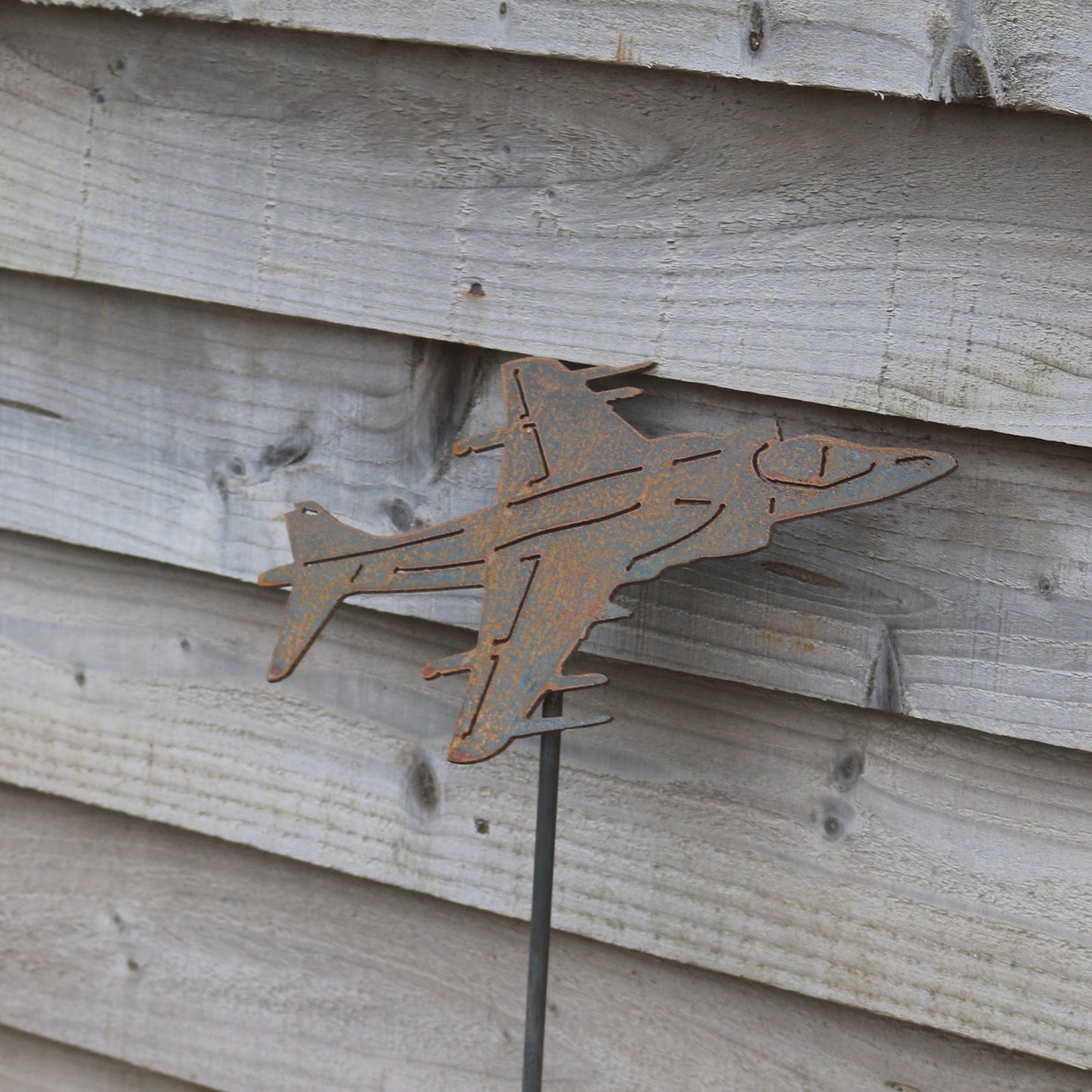 Harrier Aeroplane On Spike