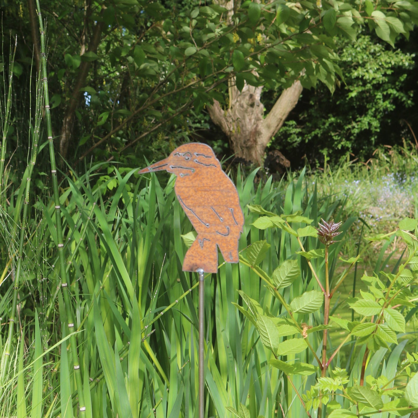 Kingfisher Bird On Spike