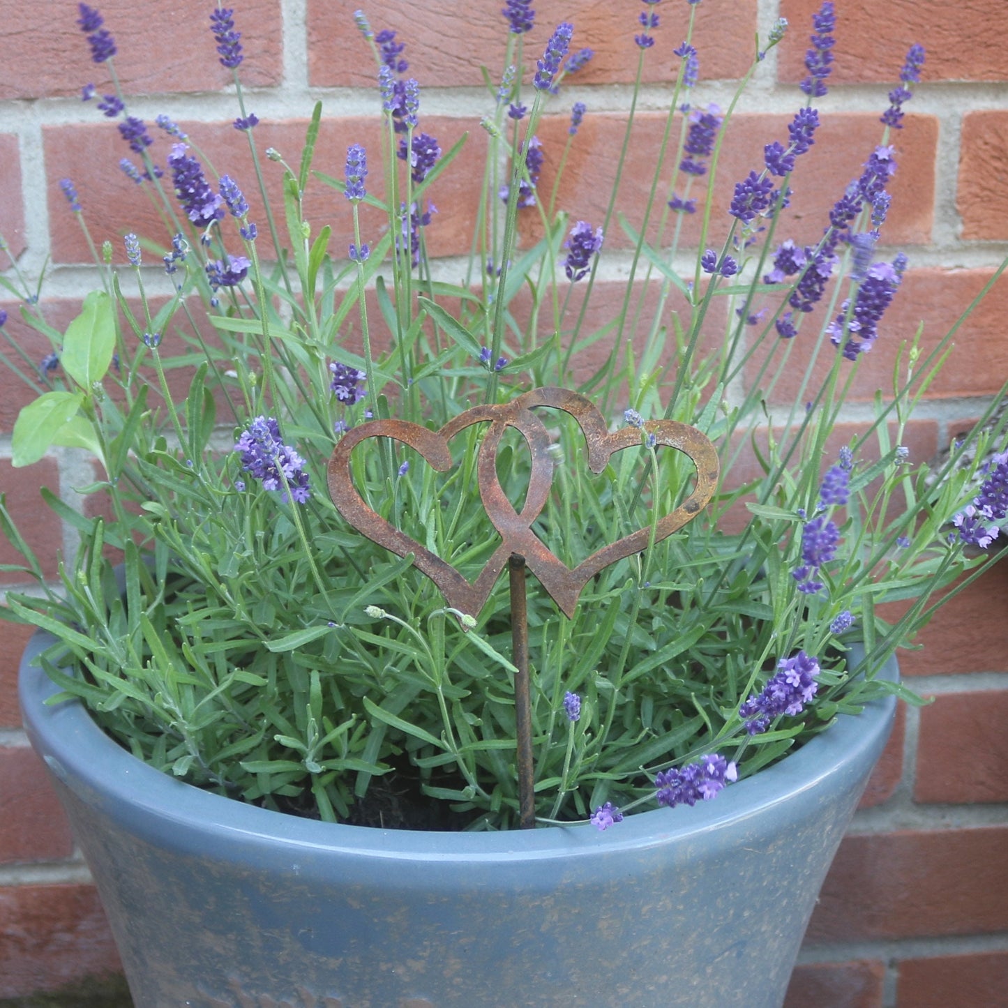 Entwined Hearts Plant Pot Decoration