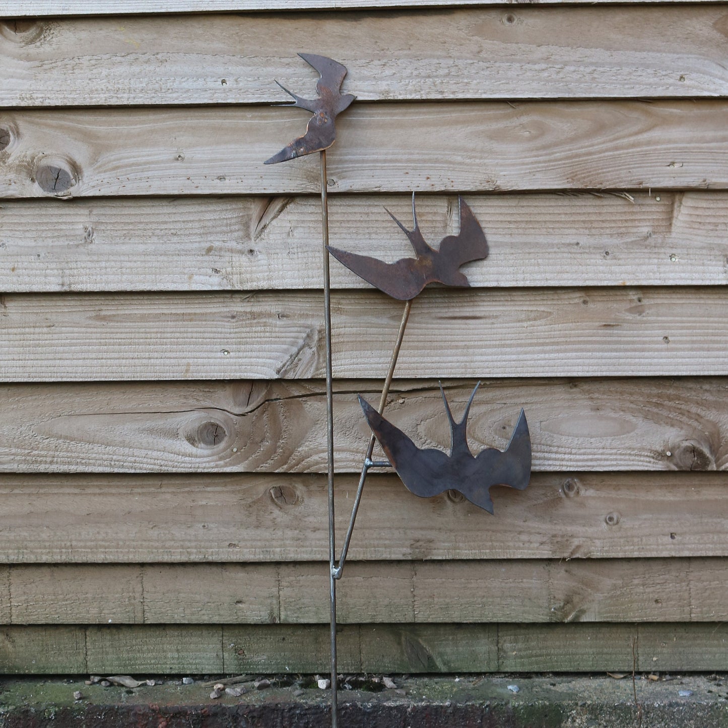 Swallows Bird On Spike