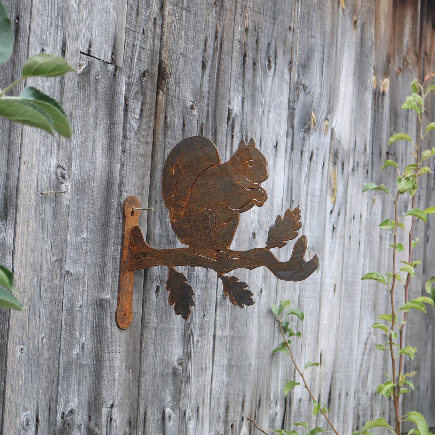 Squirrel Wall Bracket