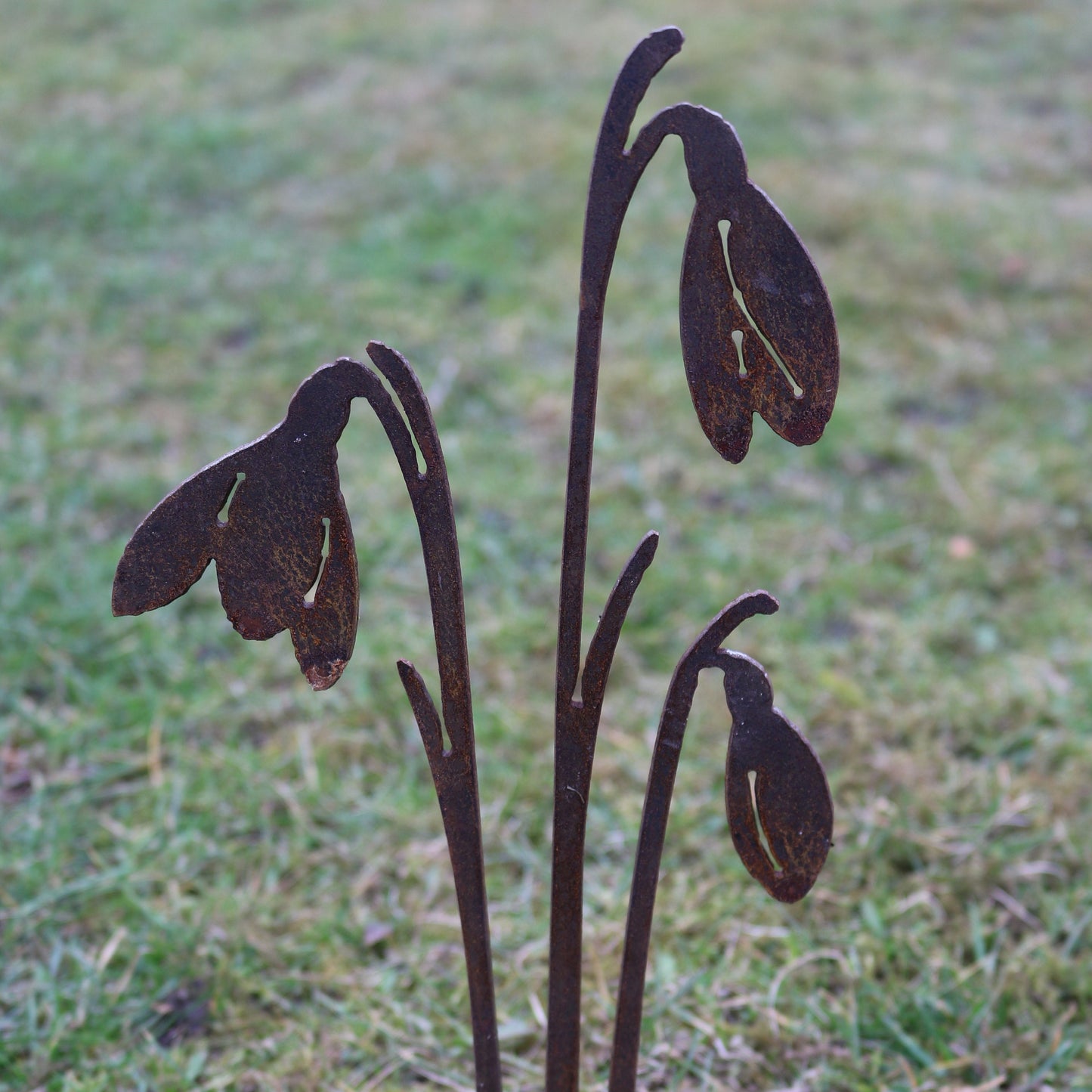 Snowdrops Plant Pot Decoration
