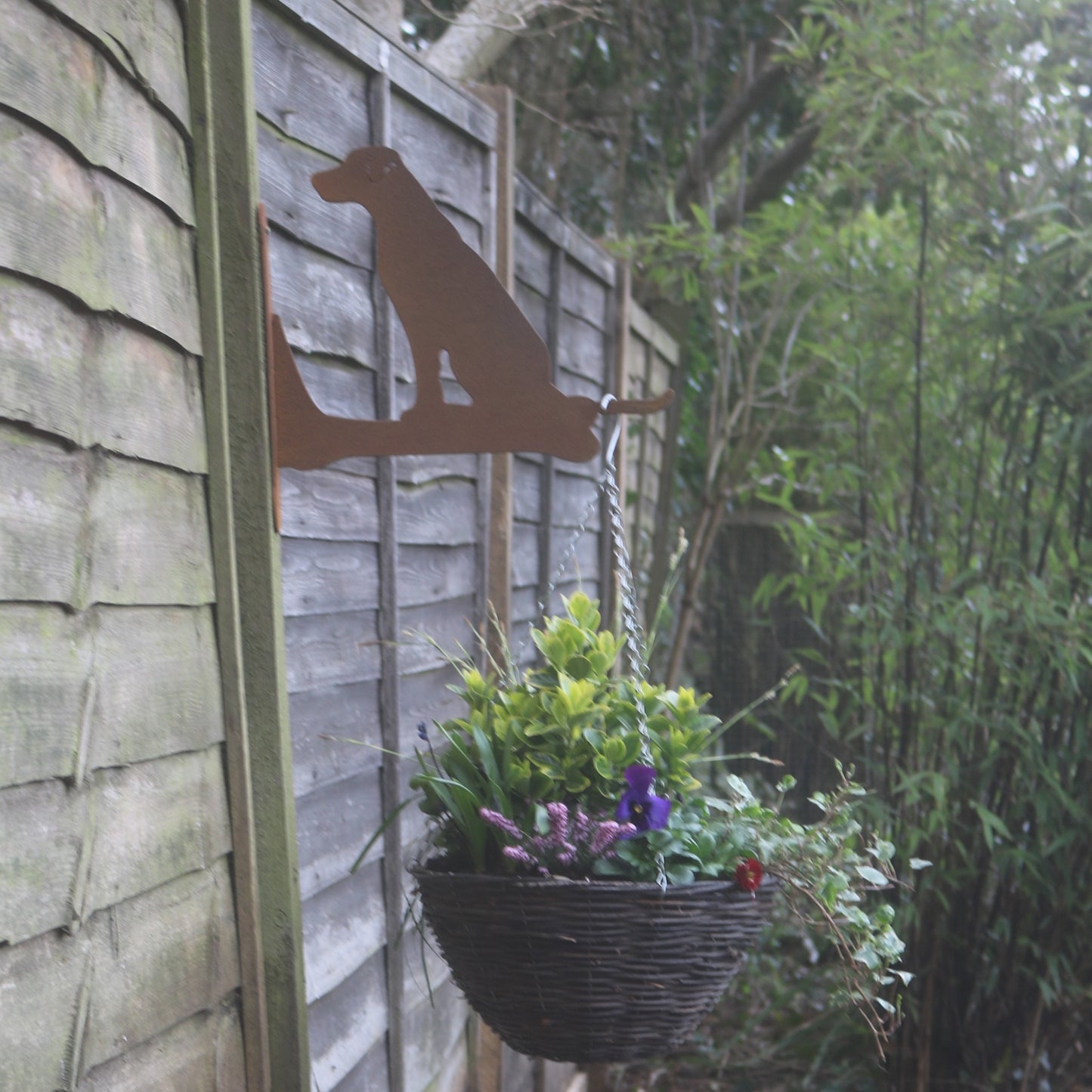 Labrador Wall Bracket